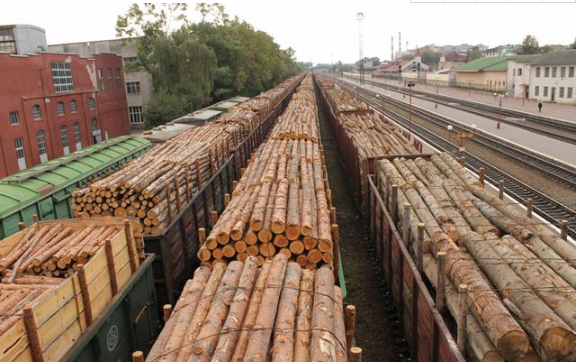 俄罗斯将完全禁止原木出口，木箱成本增加同时